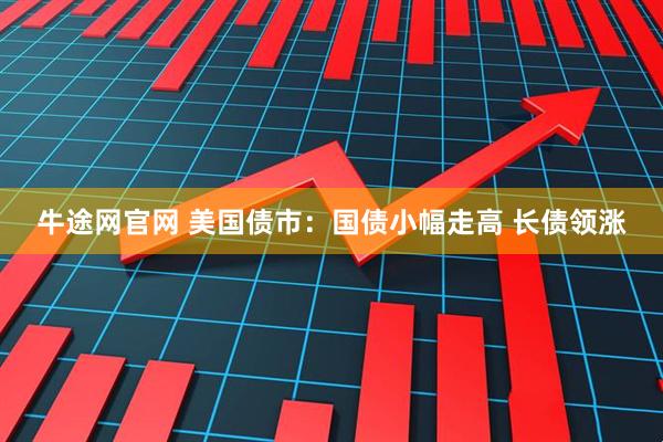 牛途网官网 美国债市：国债小幅走高 长债领涨