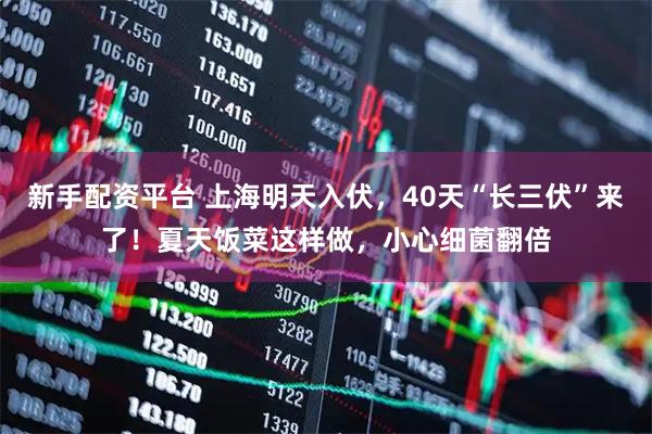 新手配资平台 上海明天入伏，40天“长三伏”来了！夏天饭菜这样做，小心细菌翻倍